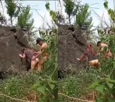 Chịch nhau trong rừng cây